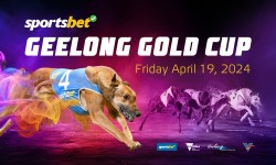 2024 Geelong Gold Cup