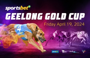 2024 Geelong Gold Cup