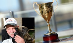 Geelong Cup Heats: Can ‘One-Bend Star’ Nunya step up to the plate?