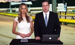 VIDEO: Geelong Gold Cup Preview