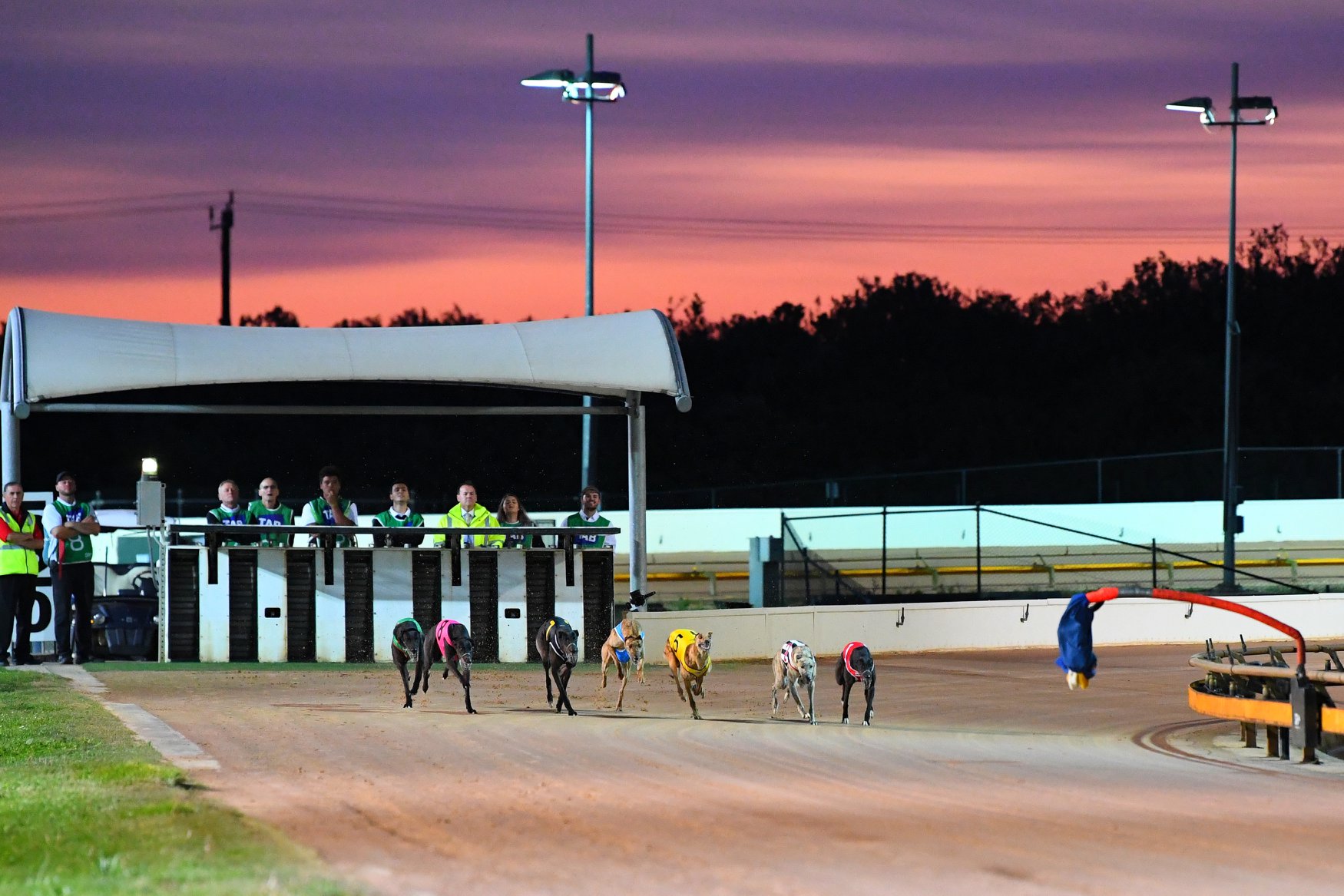 GEELONG RACE MEET & TRIALS UPDATE Geelong Greyhound Racing Club
