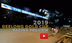 2019 Beckley Centre Geelong Gold Cup Preview