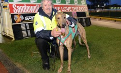 Geelong Derby on a Razor’s Edge