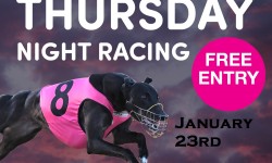 GEELONG RACING SCHEDULE REMINDER